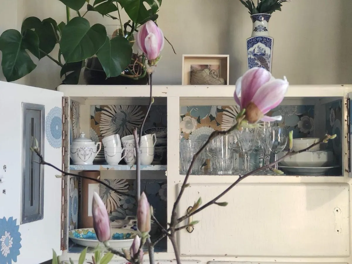 Bed and Breakfast Rachel Brujas