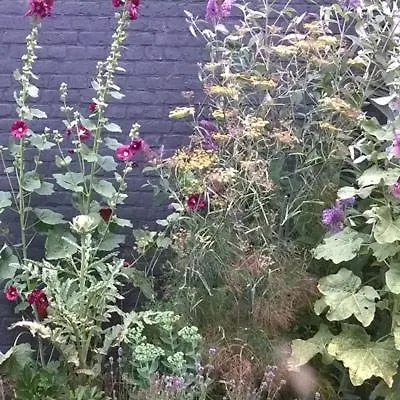 Rachel Bed & Breakfast Bruges 0*,  Belgium