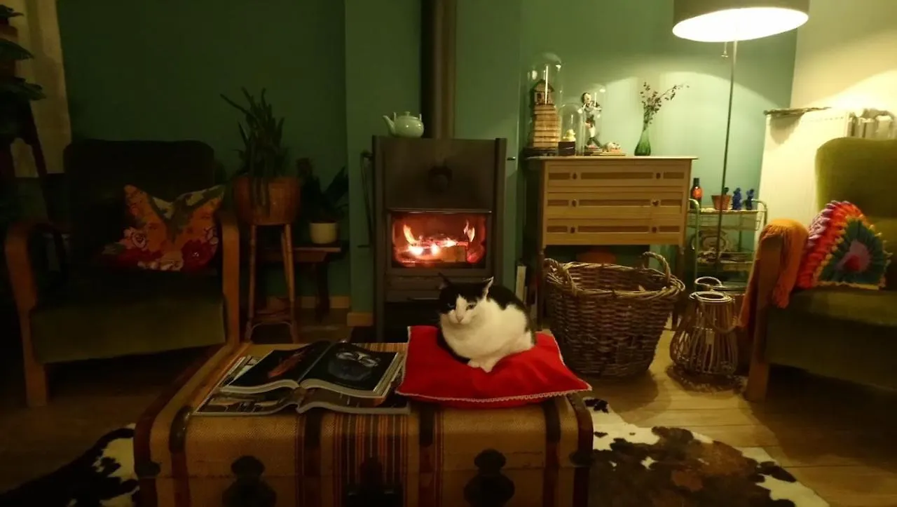 Rachel Bed & Breakfast Bruges Belgium